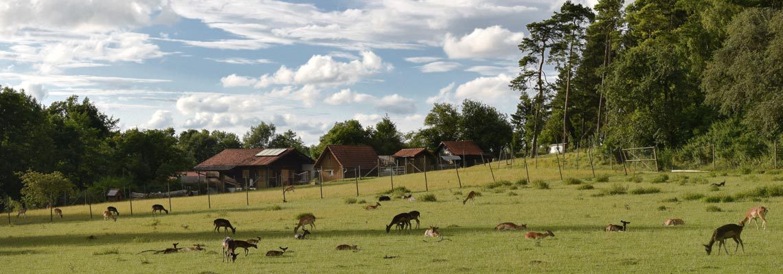 Erlebnis Bauernhof Schmid in Waldmössingen