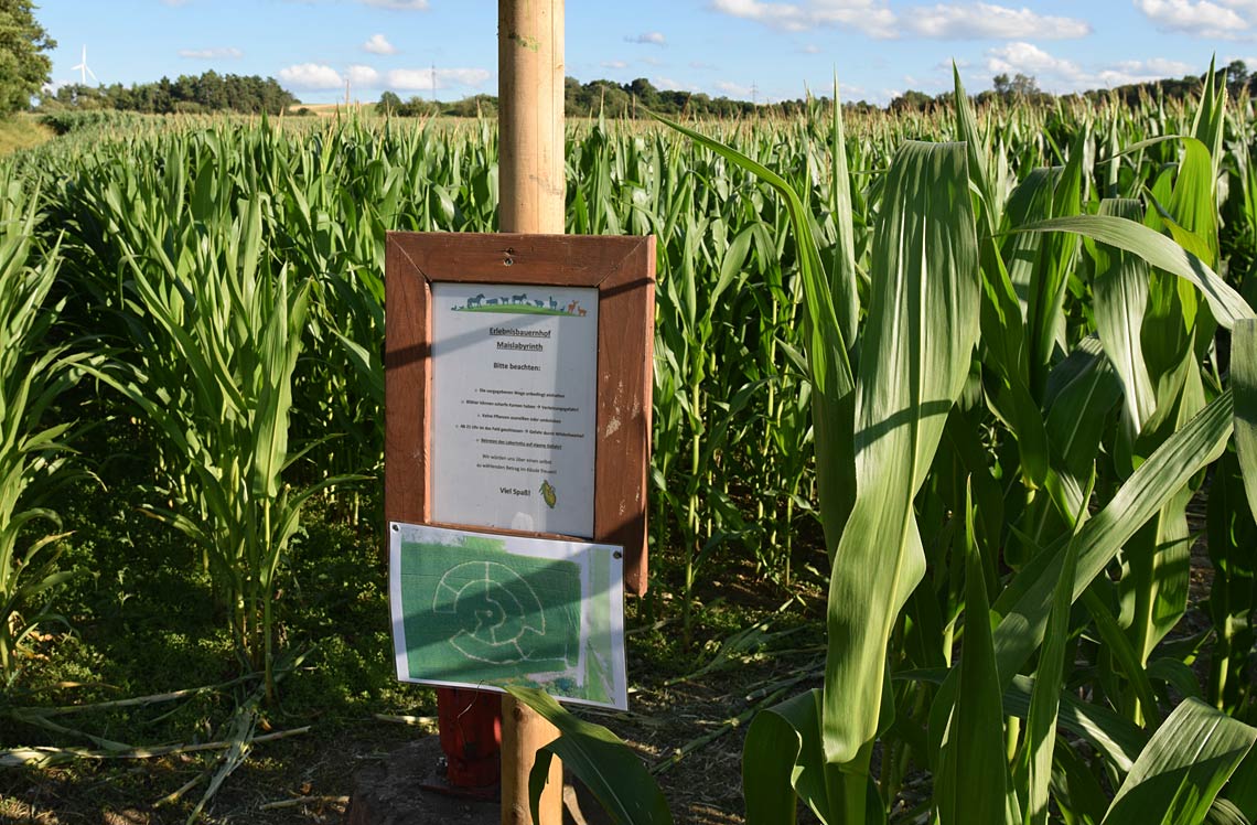 Maislabyrinth Waldmössingen