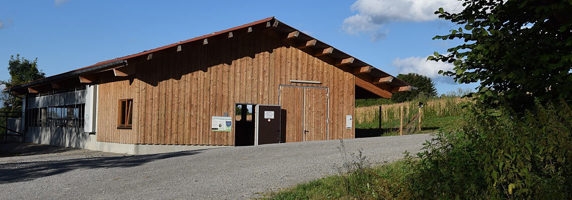 Erlebnis Bauernhof Kuhstall