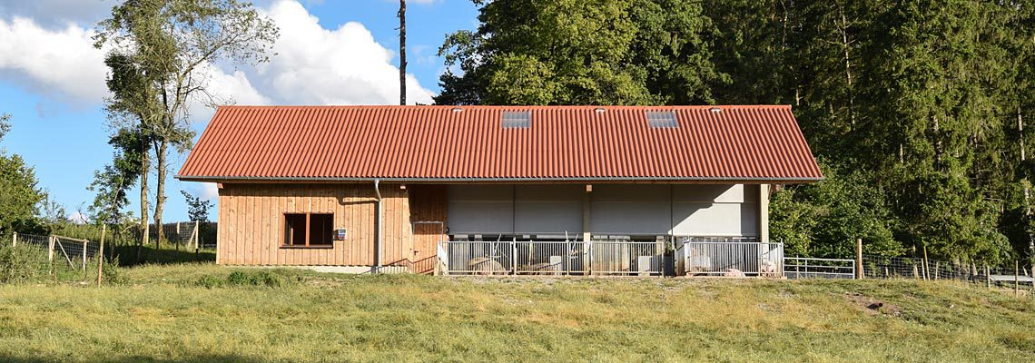 Erlebnis Bauernhof Schweinestall