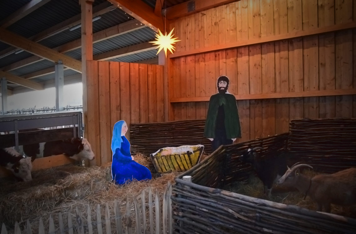 Krippe im Kuhstall Erlebnis Bauernhof Waldmössingen